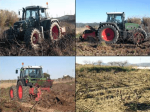 Imatge del servei d'Arrencar Ceps de Cal Vicari.