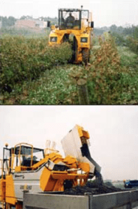 Imatge del servei de Verema Mecanitzada de Cal Vicari