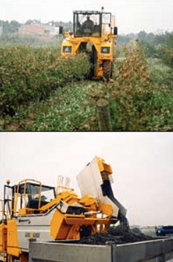 Imatge del servei de Verema Mecanitzada de Cal Vicari