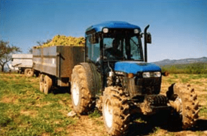 Imatge del servei Transport de raïm de Cal Vicari