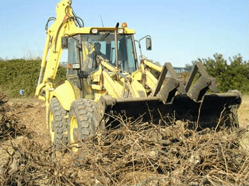 Fotografia del servei de Recollida de Ceps de Cal Vicari.