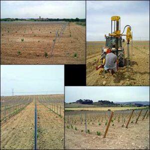 Imatge del servei d'Emparrar de Cal Vicari.