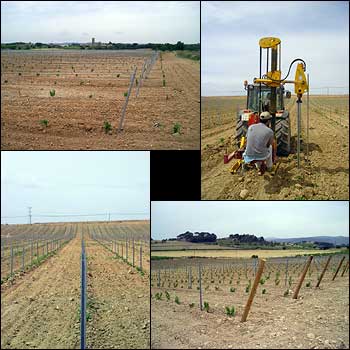 Imatge del servei d'Emparrar de Cal Vicari.