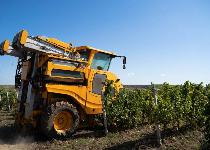 maquina-collir-raims